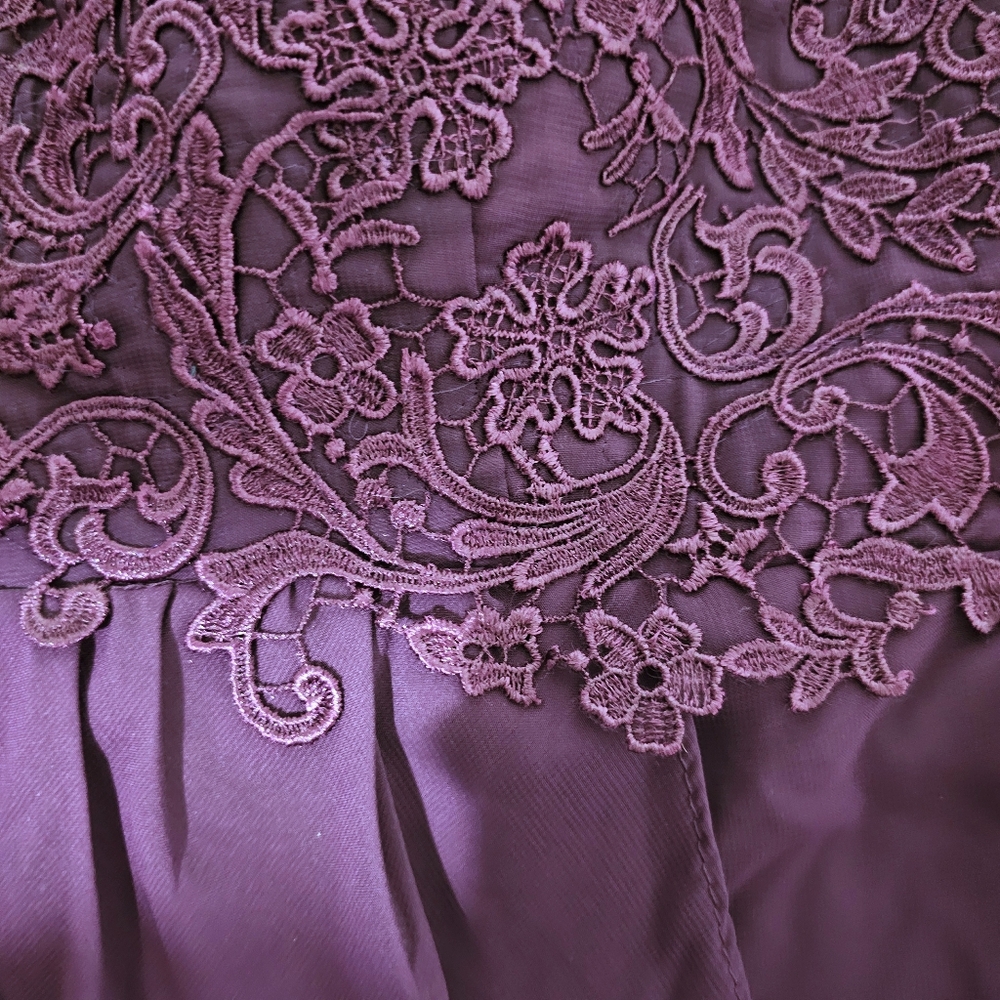 Plun Sheer Lace Occasion Dress - Picture 6 of 7